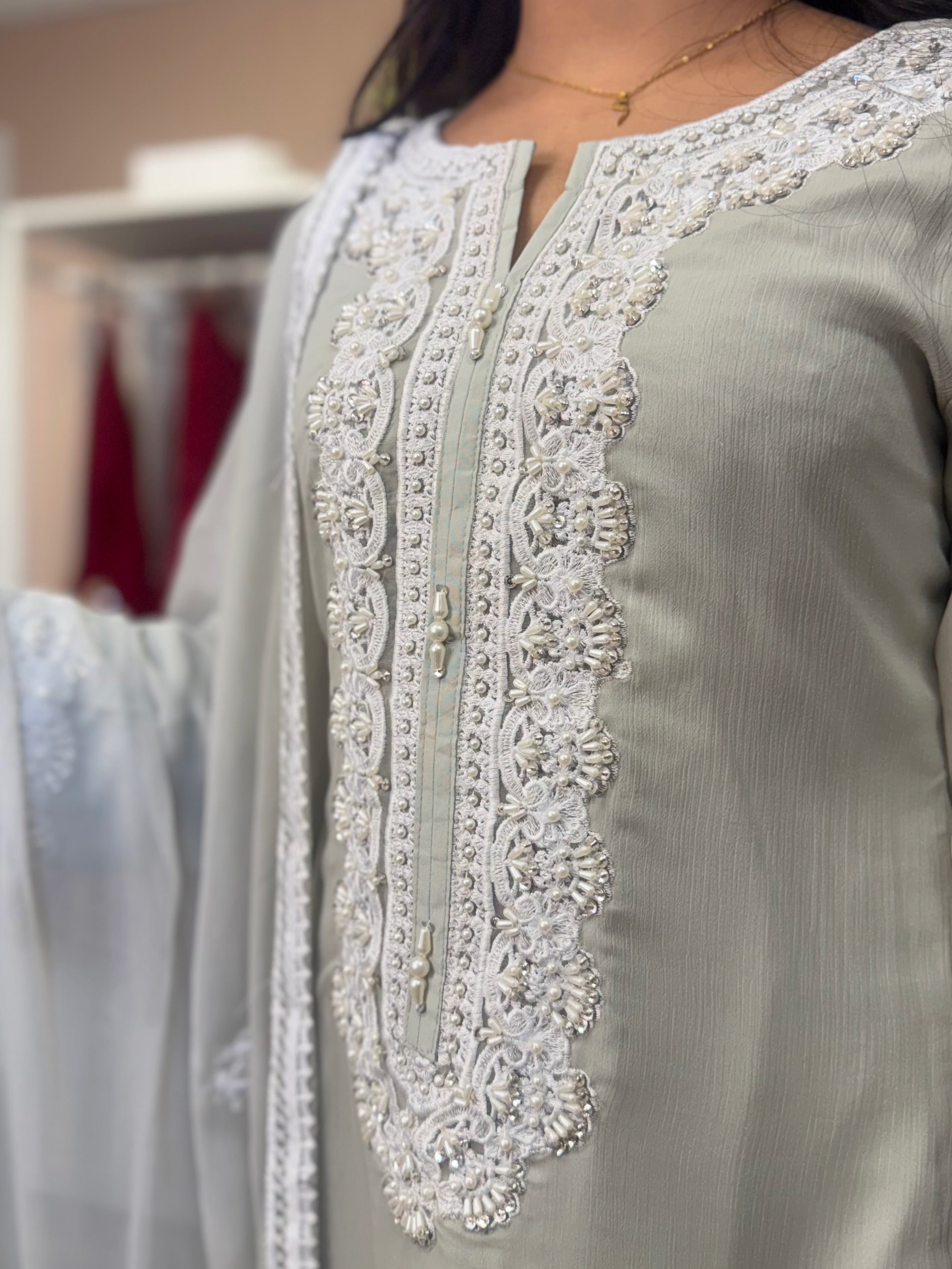 Sage Grace Chiffon Embroidered Suit