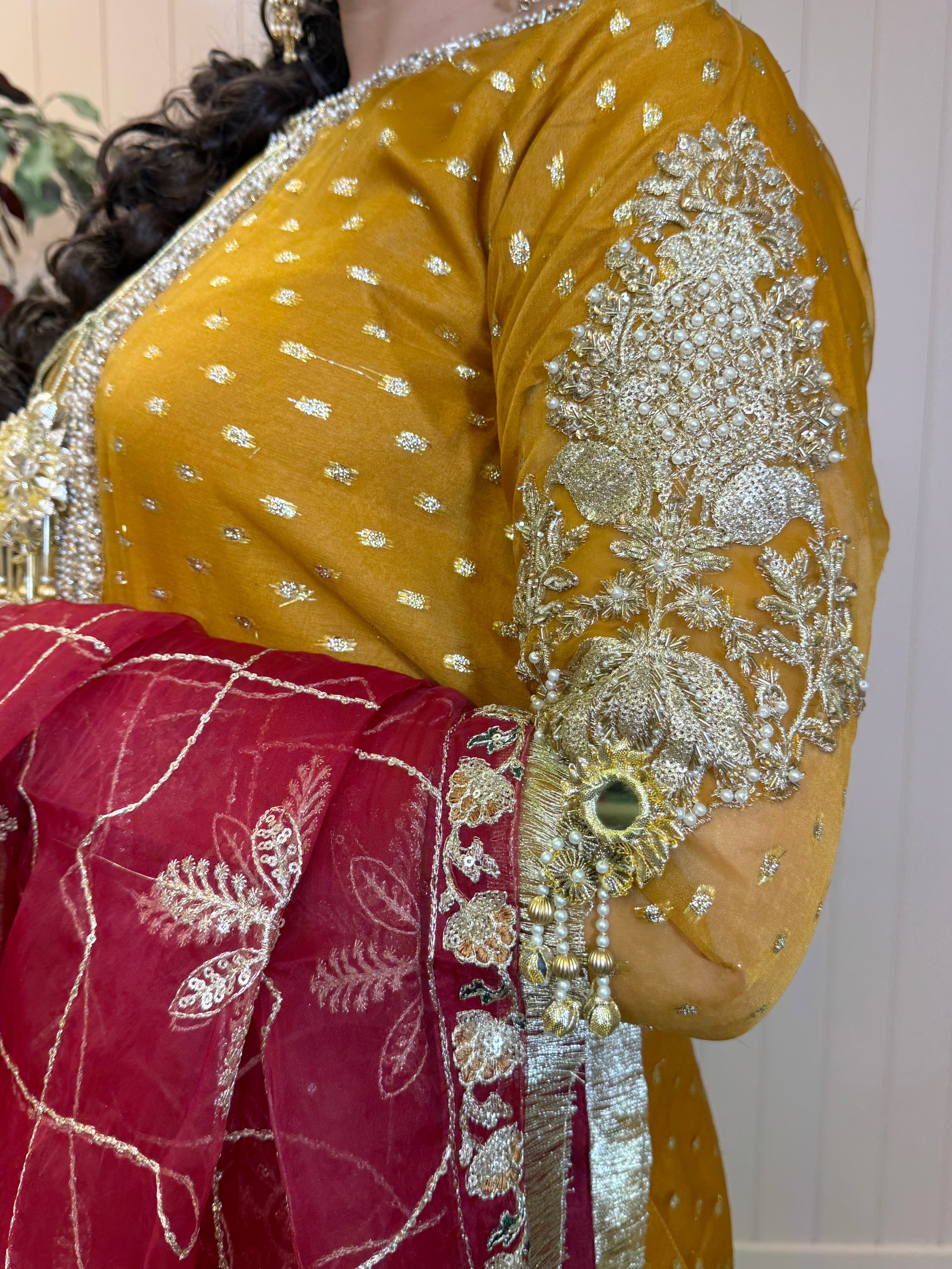 Zariya Luxe Organza Sharara Set – Mustard & Ruby