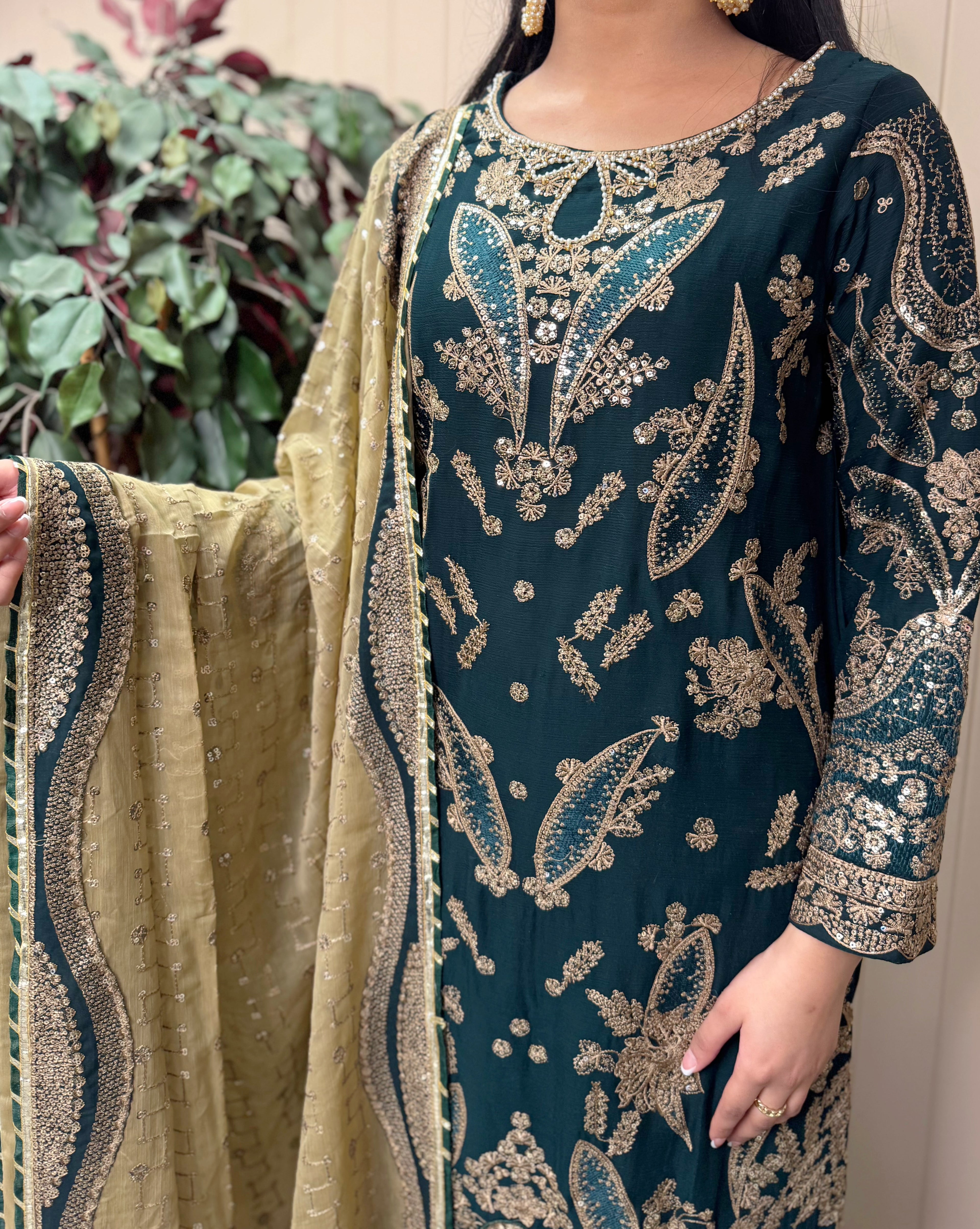 Zareen Chiffon - 3 pcs