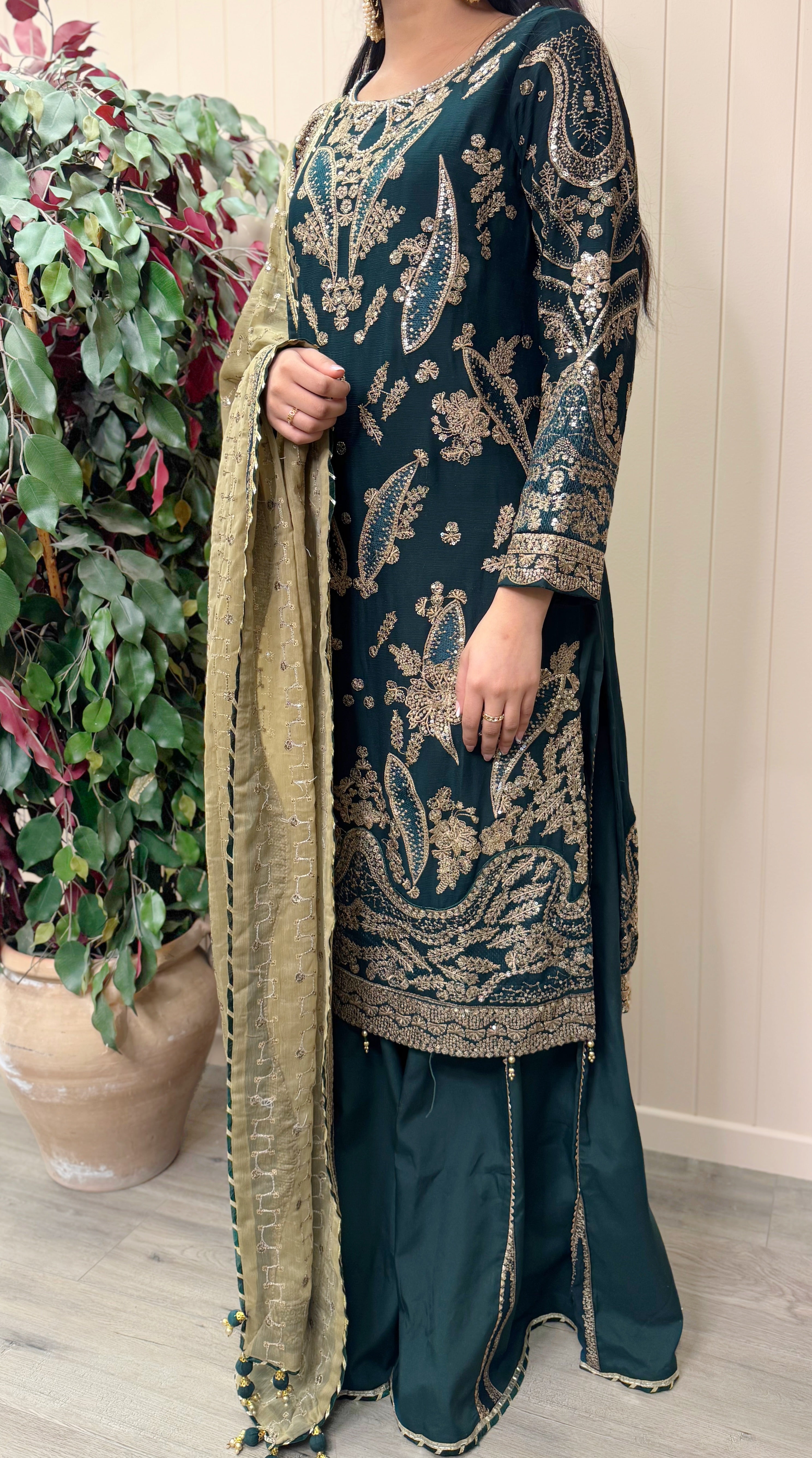 Zareen Chiffon - 3 pcs