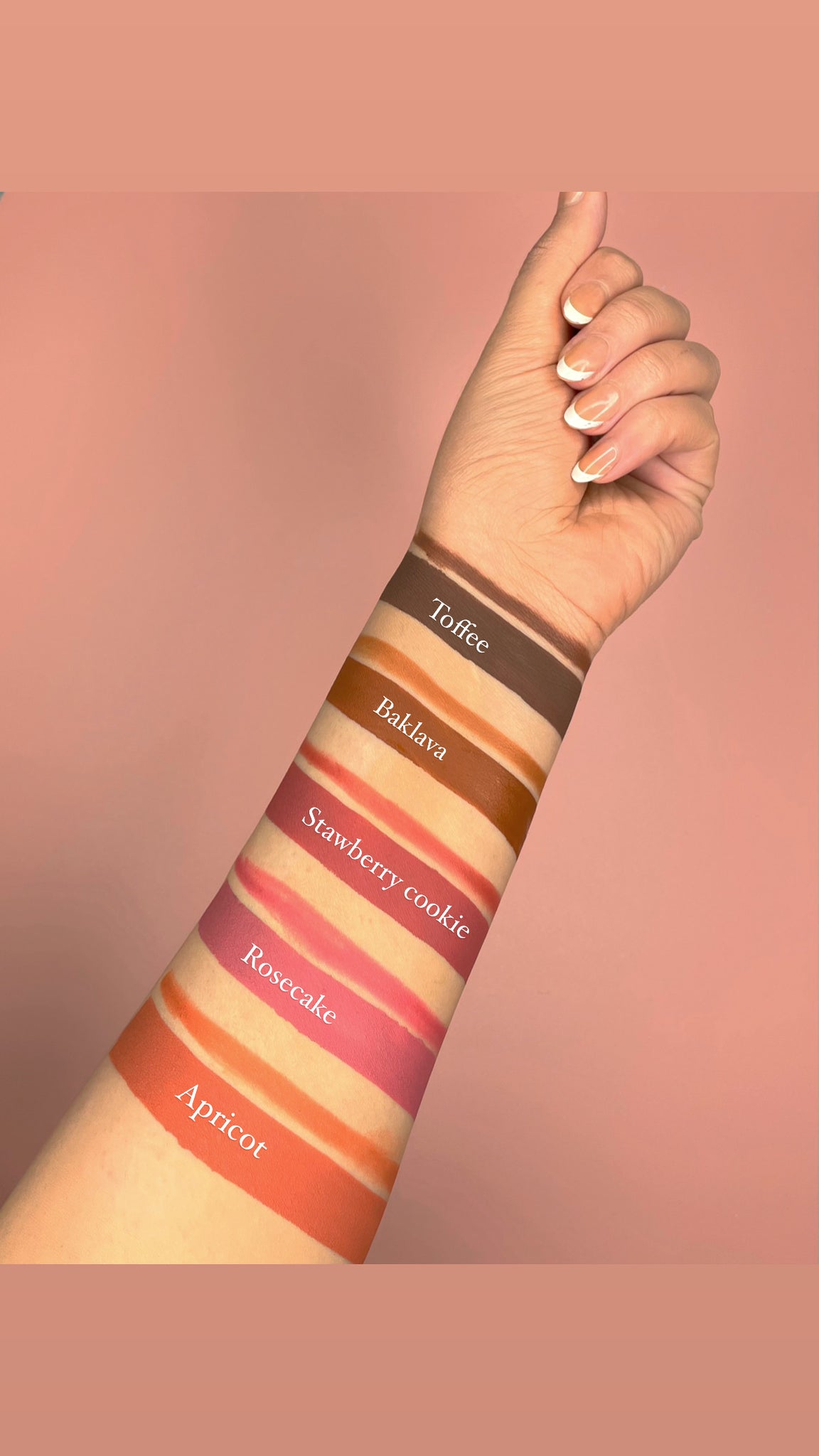 Makeupediaa - Lip Delight kit